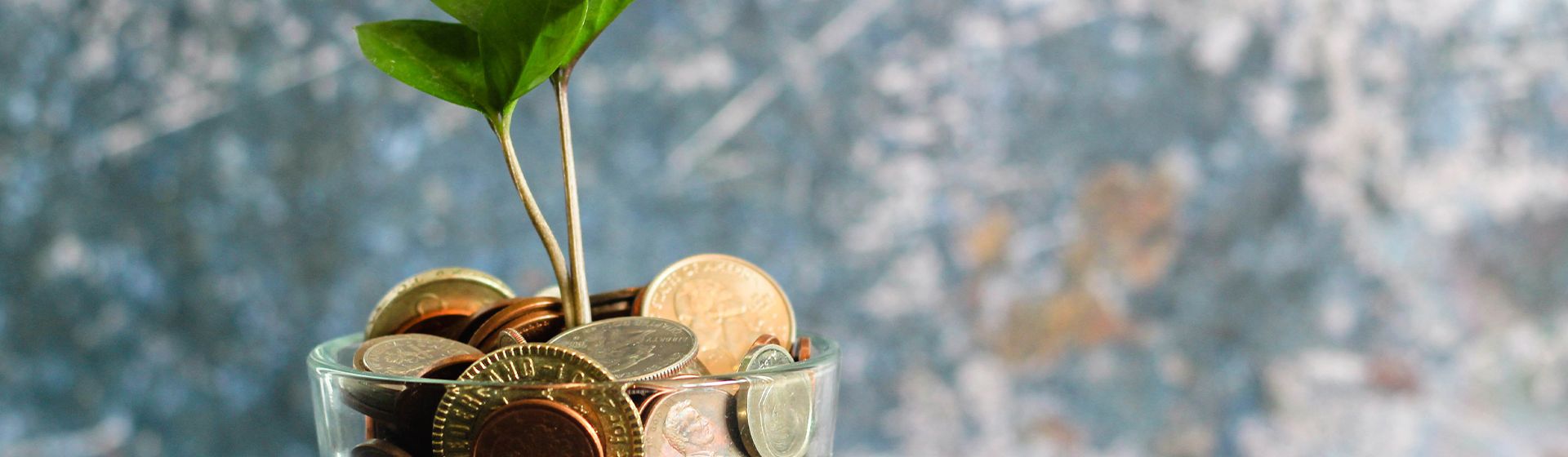 Recovery Loan Scheme - Your questions answered