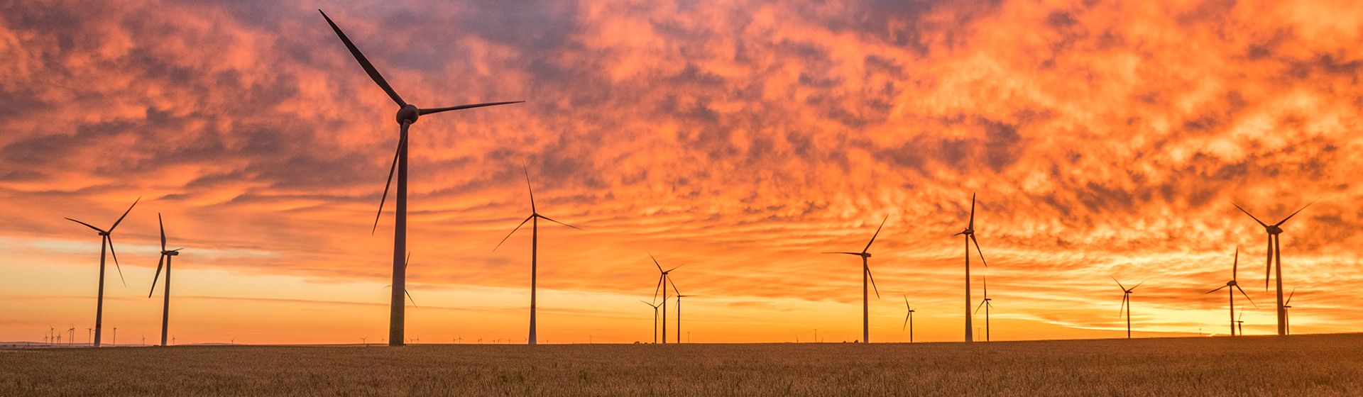 Top Tips to Save Money on Energy Bills