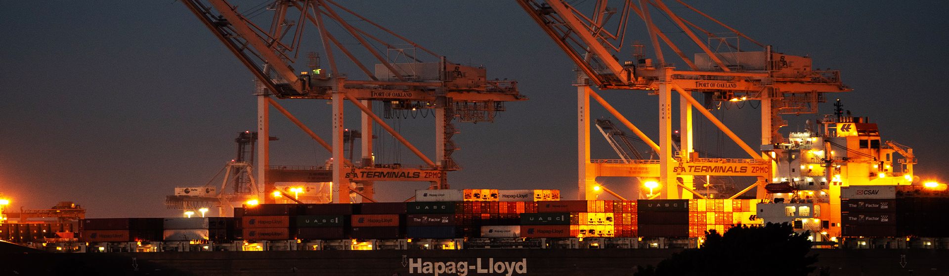 Supply Chains, hoping for the best – planning for the worst
