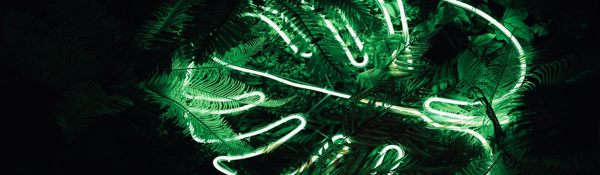 COP26 – The Impact on Business