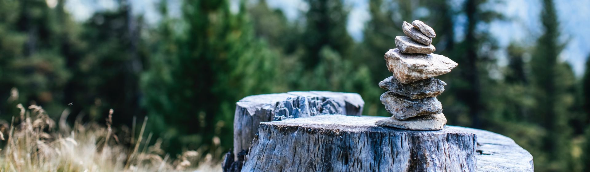 How to grow your business in 2024?